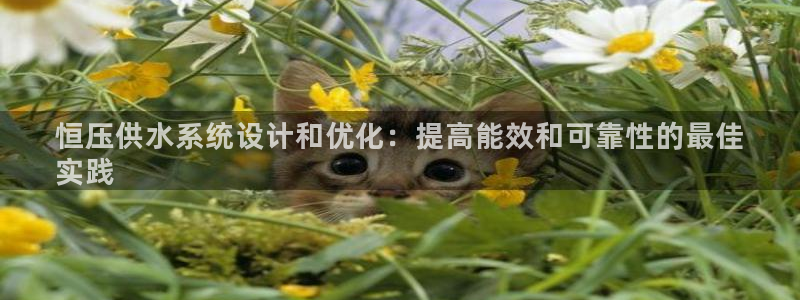 球友会是不是大平台
