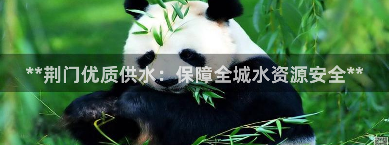 球友会在线登录账号吗安全吗