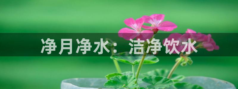 QY球友会