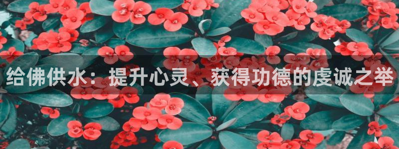 球友会体育app官方版下载安装苹果