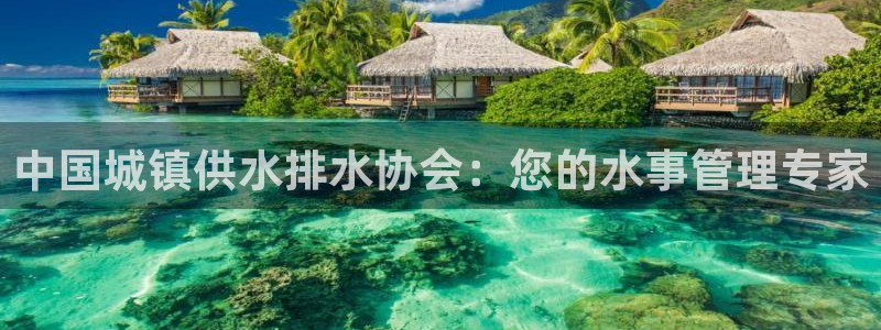 球友会体育app下载官网