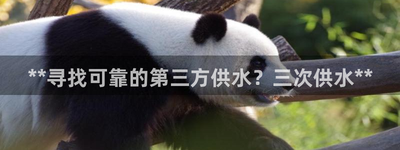 球友会入口