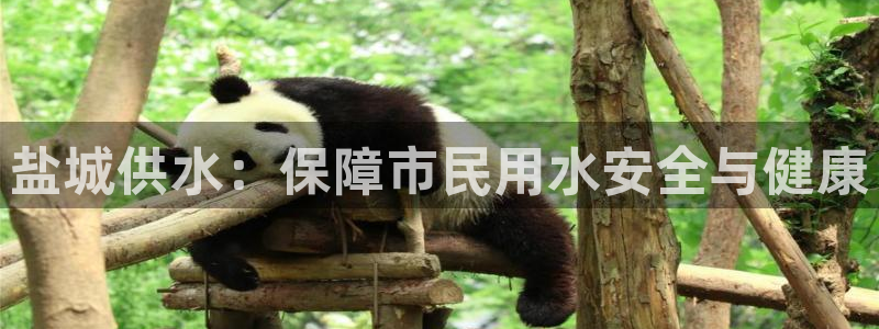 球友会app安全吗可靠吗知乎
