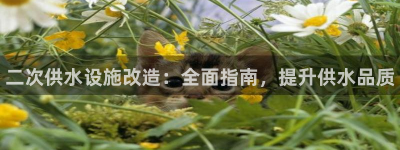 球友会拼音