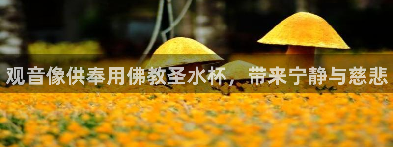 球友会提现