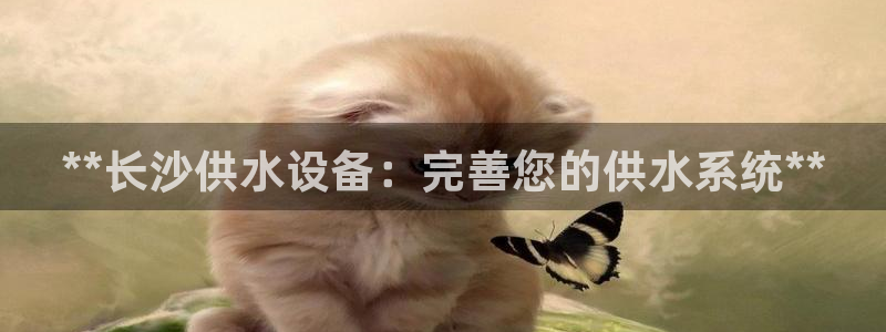 球友会app干啥的呀