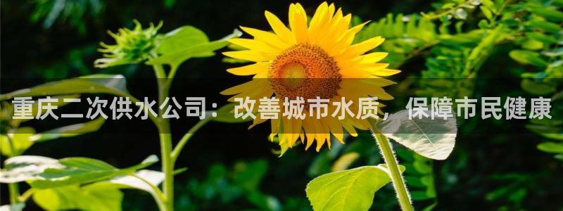 球友会官网入口网址