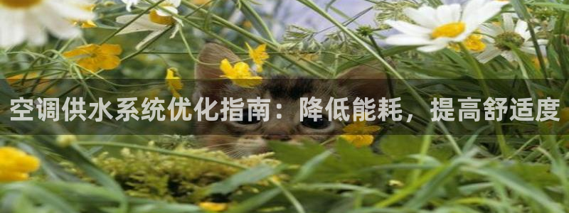 球友会官网入口
