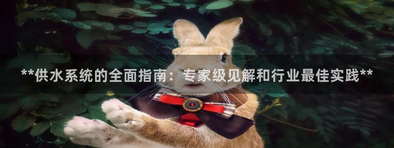 球友会联赛