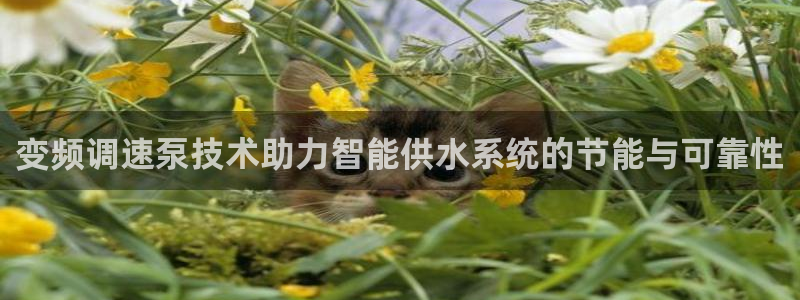 球友会登录球友会官网