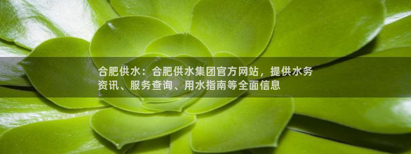 球友会下载