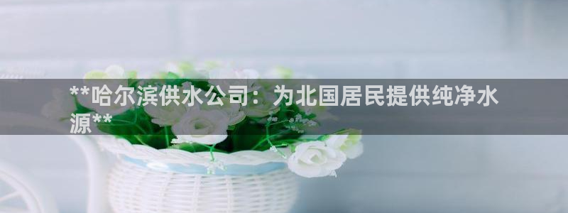 球友会·(QY)官方网站