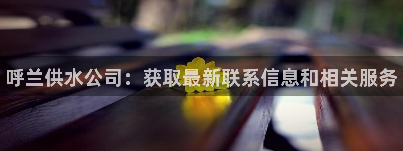 球友会体育官网