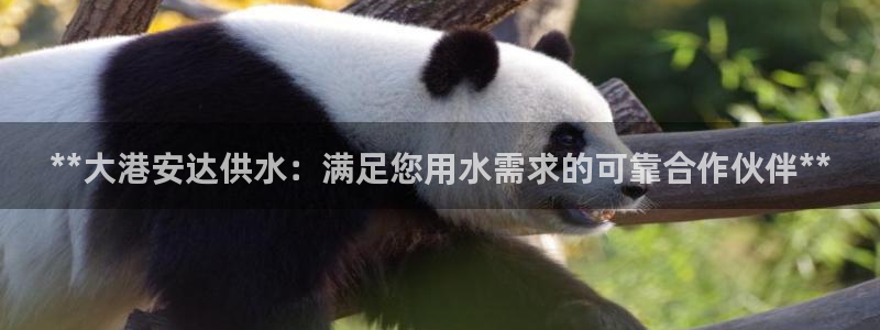 球友会app官方网站入口