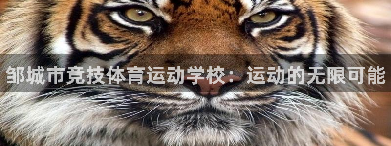 oety欧亿