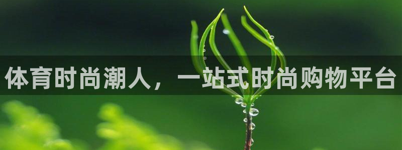 oety欧亿