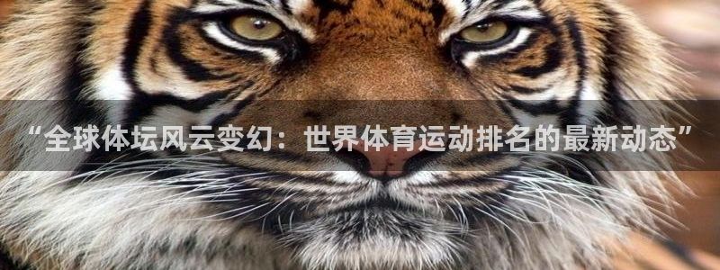 oety欧亿