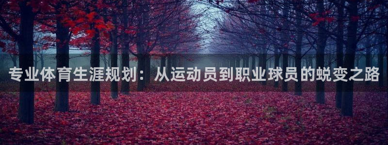 oety欧亿