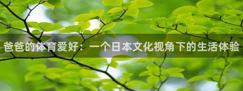 oety欧亿