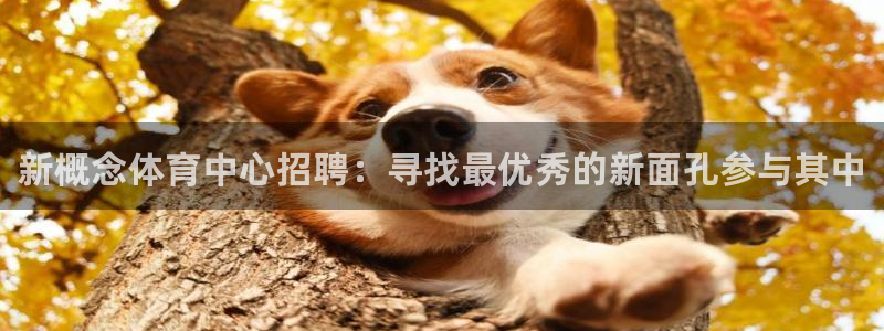 oety欧亿