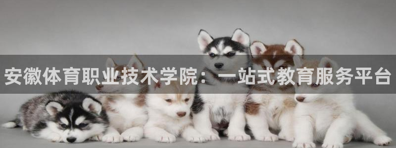 oety欧亿