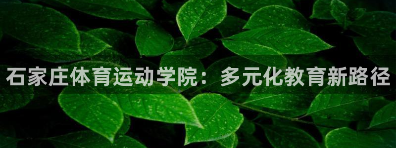 oety欧亿