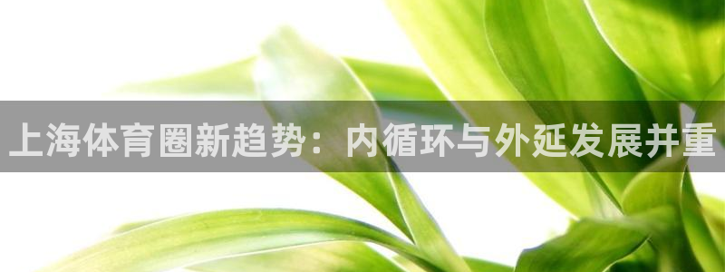 oety欧亿