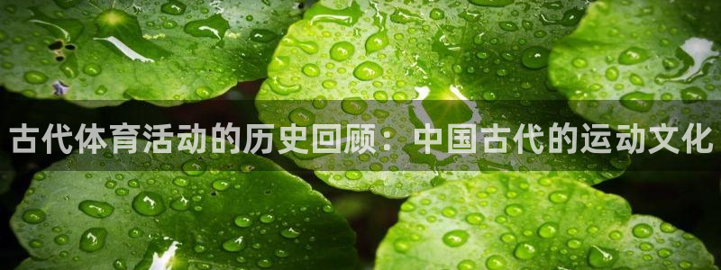 oety欧亿