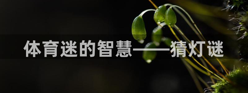 oety欧亿