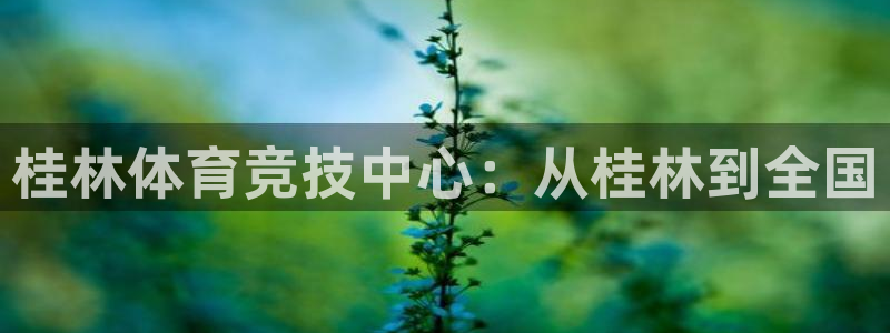 oety欧亿