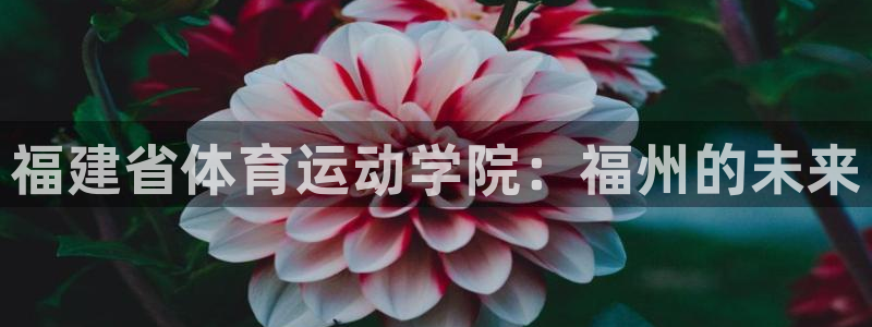 oety欧亿