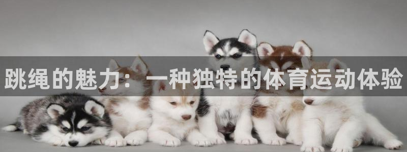 oety欧亿